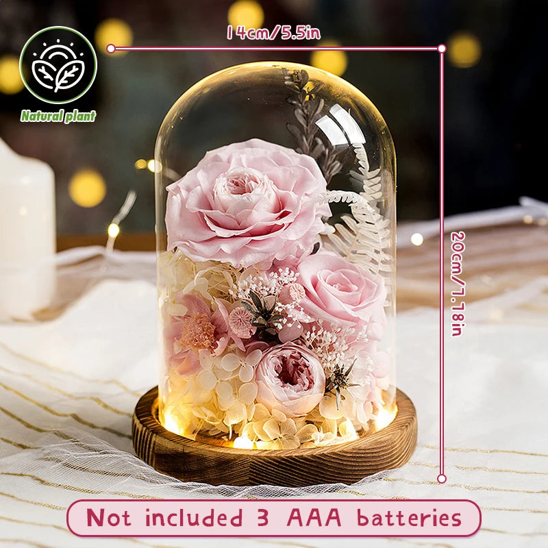 100% Nature Eternal Rose Preserved Roses In Glass Dome Forever with Lights