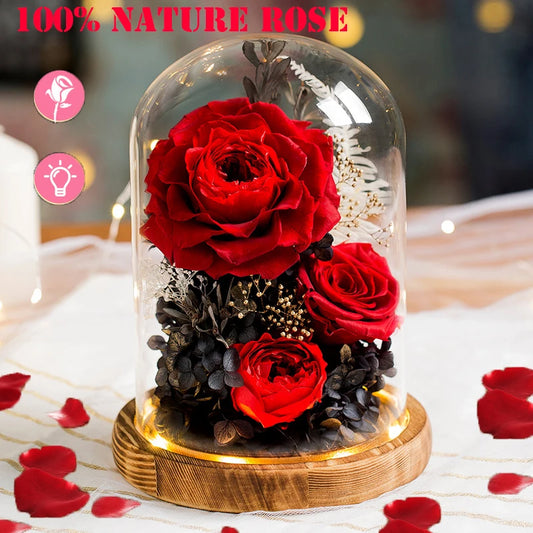 100% Nature Eternal Rose Preserved Roses In Glass Dome Forever with Lights